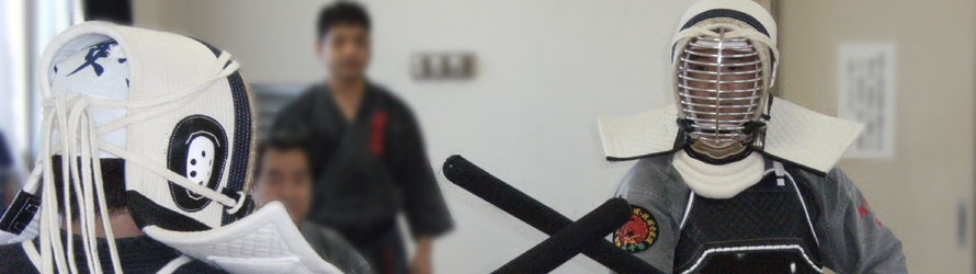 実戦式琉球古武道
